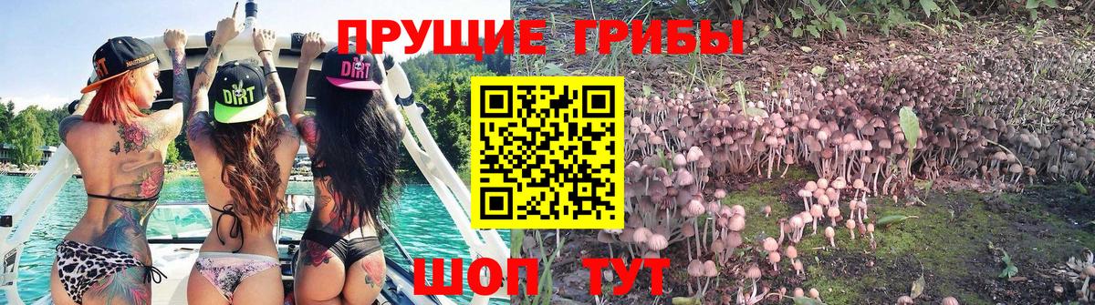 Галлюциногенные грибы GOLDEN TEACHER  Вход с VPN  Арсеньев 
